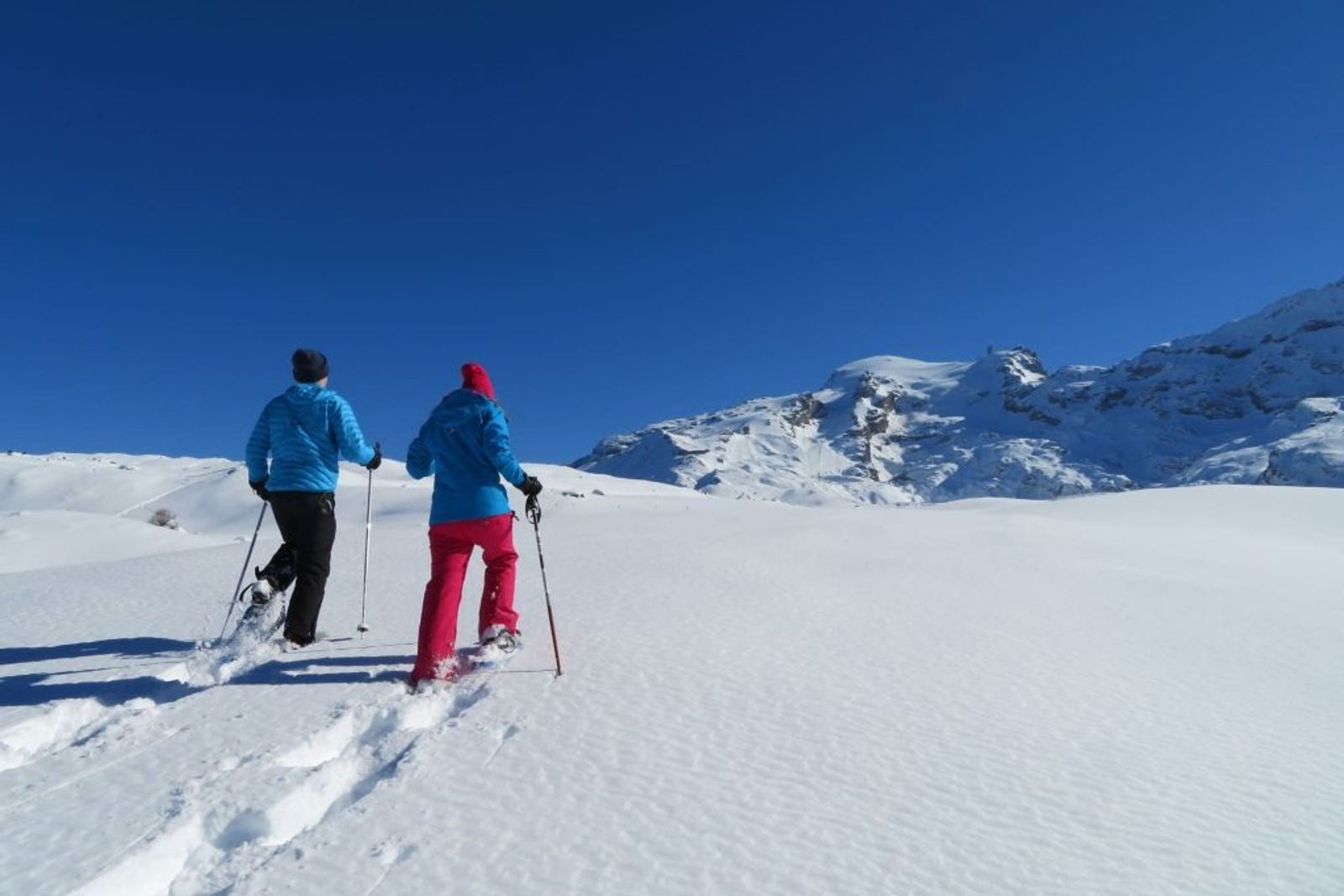Hiking & snowshoe tours
